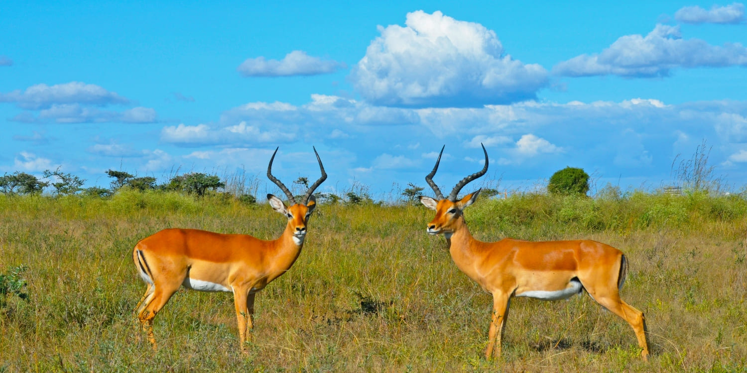 is kenya expensive to visit