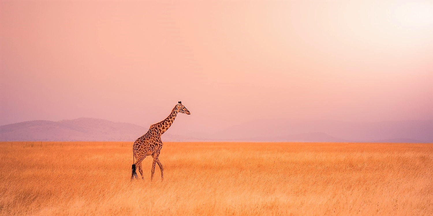 Kenya Tourism
